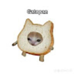 Meet your Posher, Areli